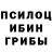 Галлюциногенные грибы Cubensis Jeena John