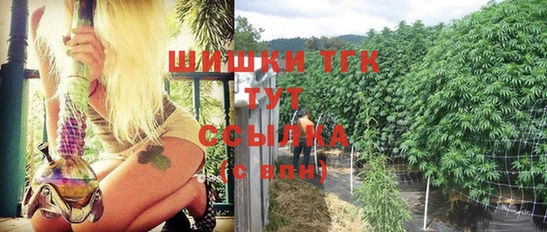 стаф Алексеевка