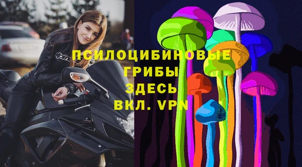 стаф Алексеевка
